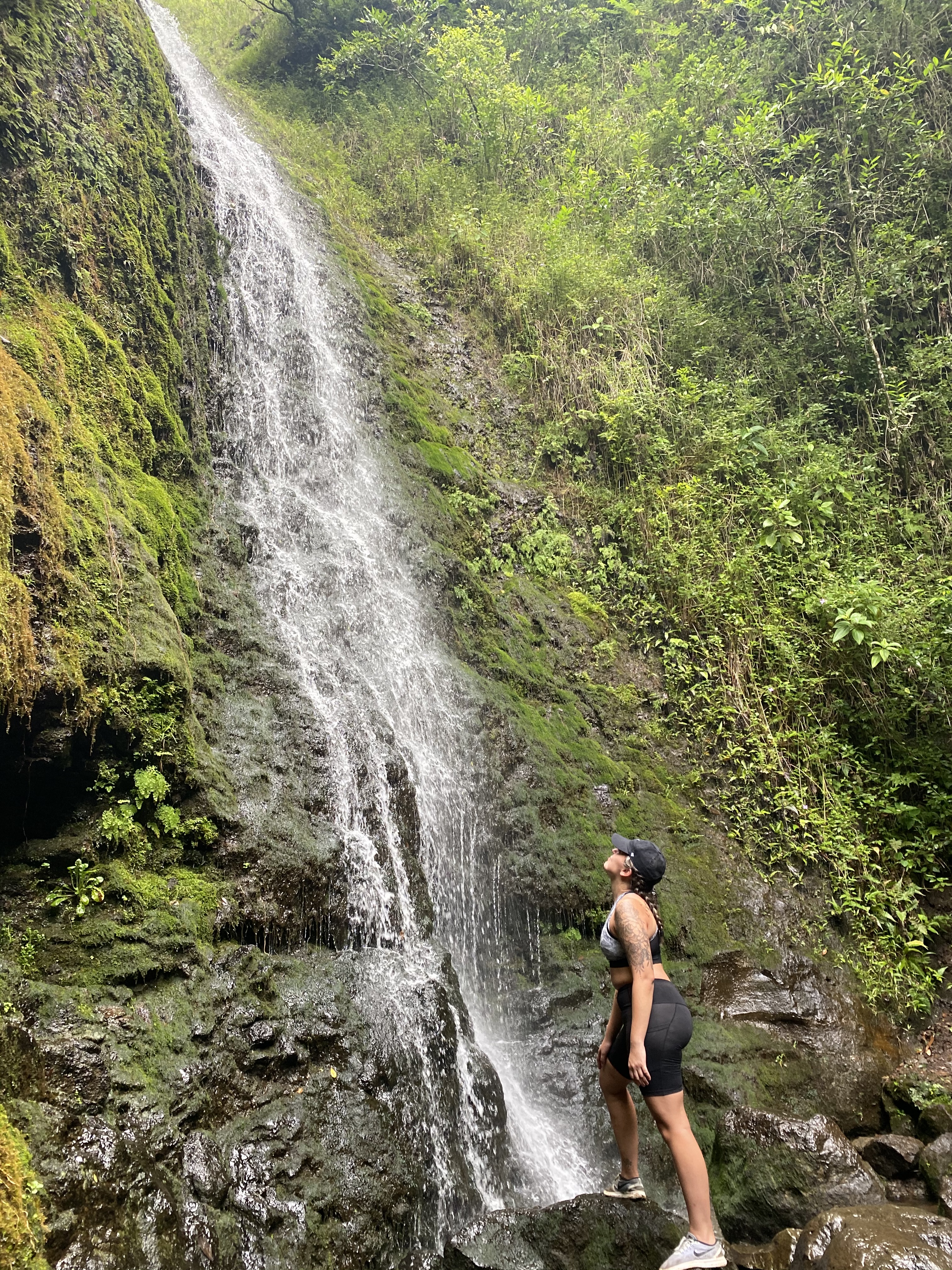 A cascading waterfall nestled in lush Hawaiian greenery