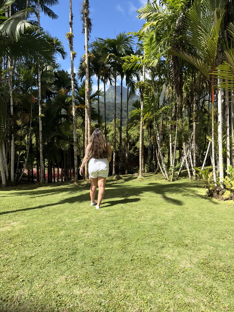 Solo Martinique 